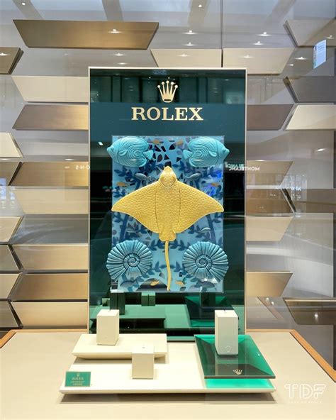 rolex watch displays